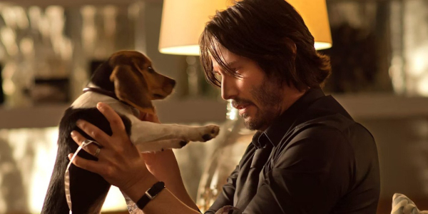 John Wick plus puppy